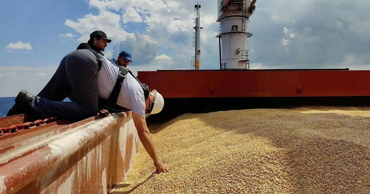 খাদ্যশস্যের আরও ৩ জাহাজ ইউক্রেন ছাড়বে আজ