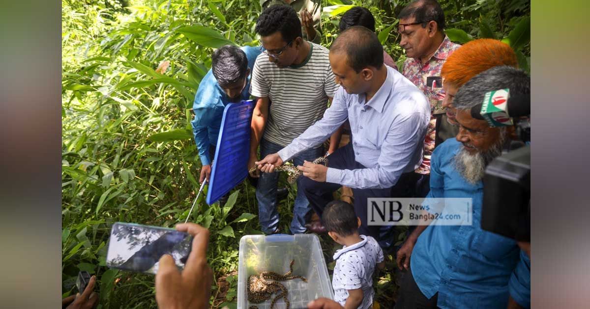 বনবাসে গেল চিড়িয়াখানায় জন্মানো ১১ অজগর