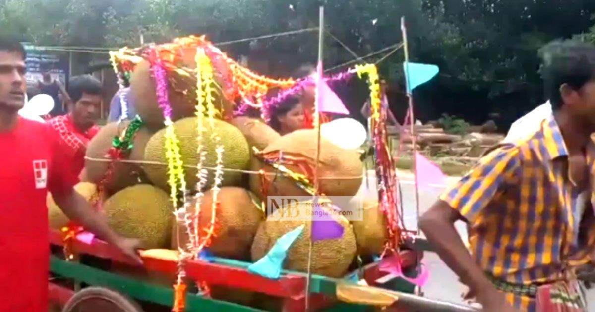 ঢাকঢোল পিটিয়ে কাঁঠালের বিদায়