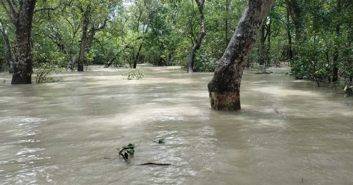 জোয়ারে প্লাবিত সুন্দরবন