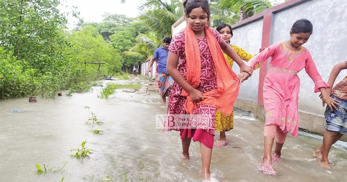 পাকা রাস্তা দেখে যেতে চান বিমলা