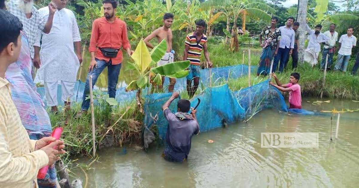জয়গাছি খাল দখলমুক্ত, আনন্দের বন্যা