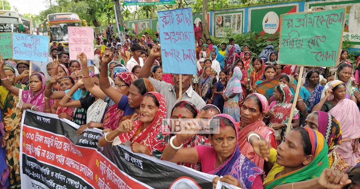 ‘দুটি পাতা একটি কুঁড়ি, শুনতে কি পাও আহাজারি’