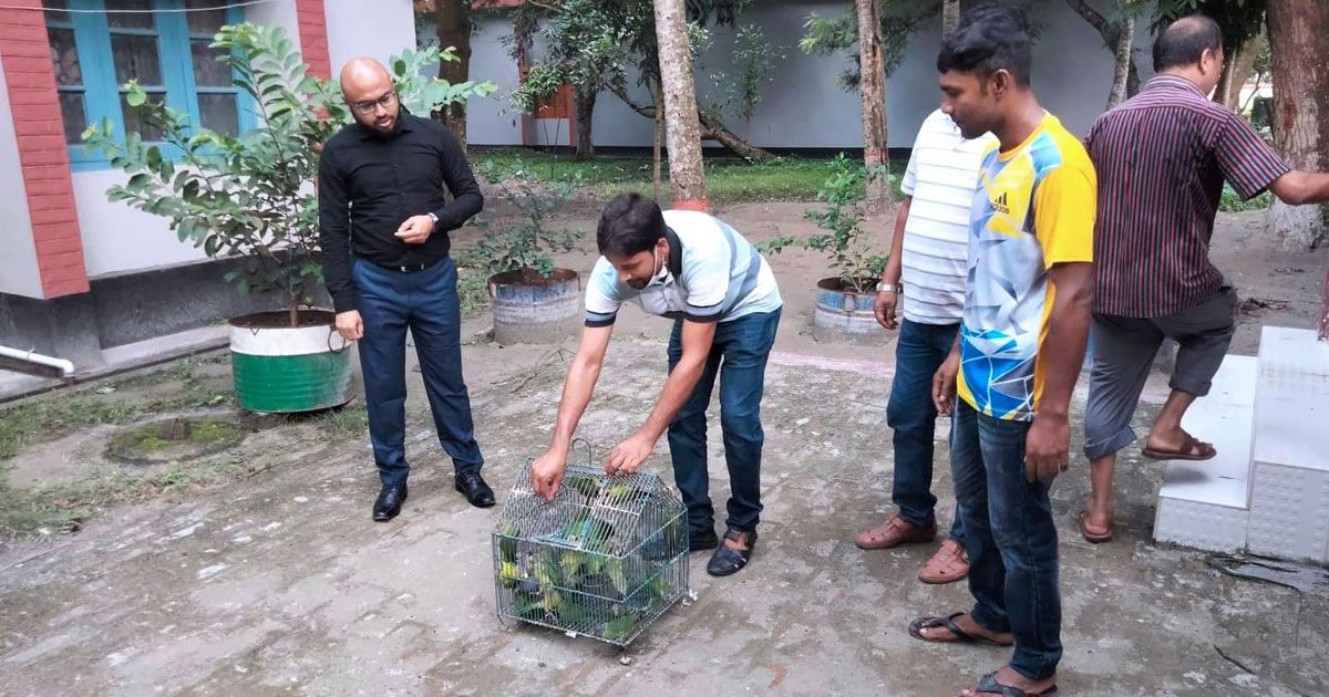 শিকারির বস্তায় লুকানো ছিল ৩৫টি হীরামন টিয়া