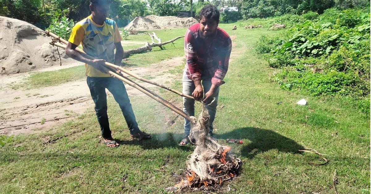 শিকারির বস্তায় লুকানো ছিল ৩৫টি হীরামন টিয়া