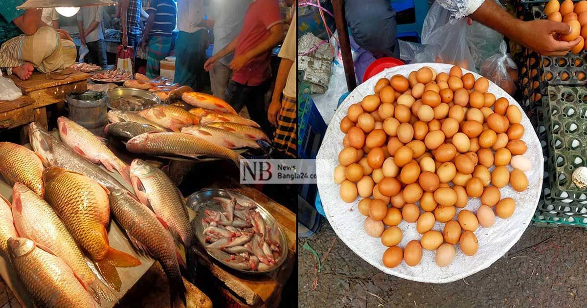 বাড়তি দরে কিনতে নারাজ, দাম কমেছে ডিম-মুরগির