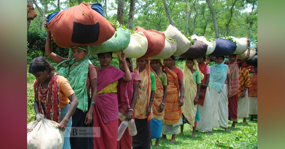 মালতীর-যে-ক্ষতি-করে-গেল-ধর্মঘট-শিরিনার-গল্পটিও-করুণ