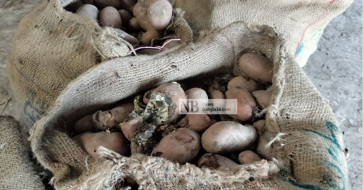 হিমাগারে-পচা-আলুর-দায়-নেবে-কে