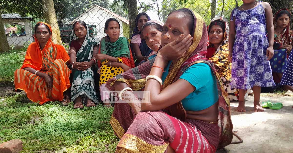 ‘মা’ শেখ হাসিনার ভিডিও বার্তা চান চা-শ্রমিকরা
