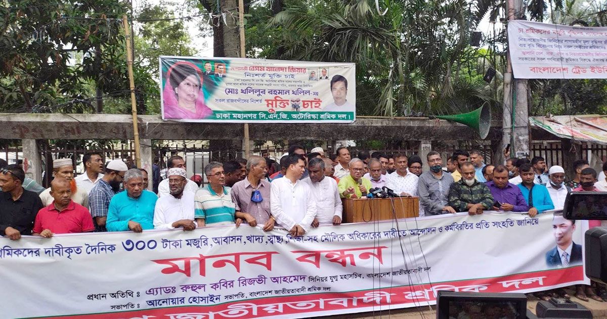 ভর্তা-ভাজি-নয়-গরিব-এখন-খাবে-লবণ-ভাত-রিজভী