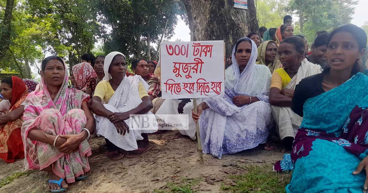 ‘মা’ শেখ হাসিনার ভিডিও বার্তা চান চা-শ্রমিকরা