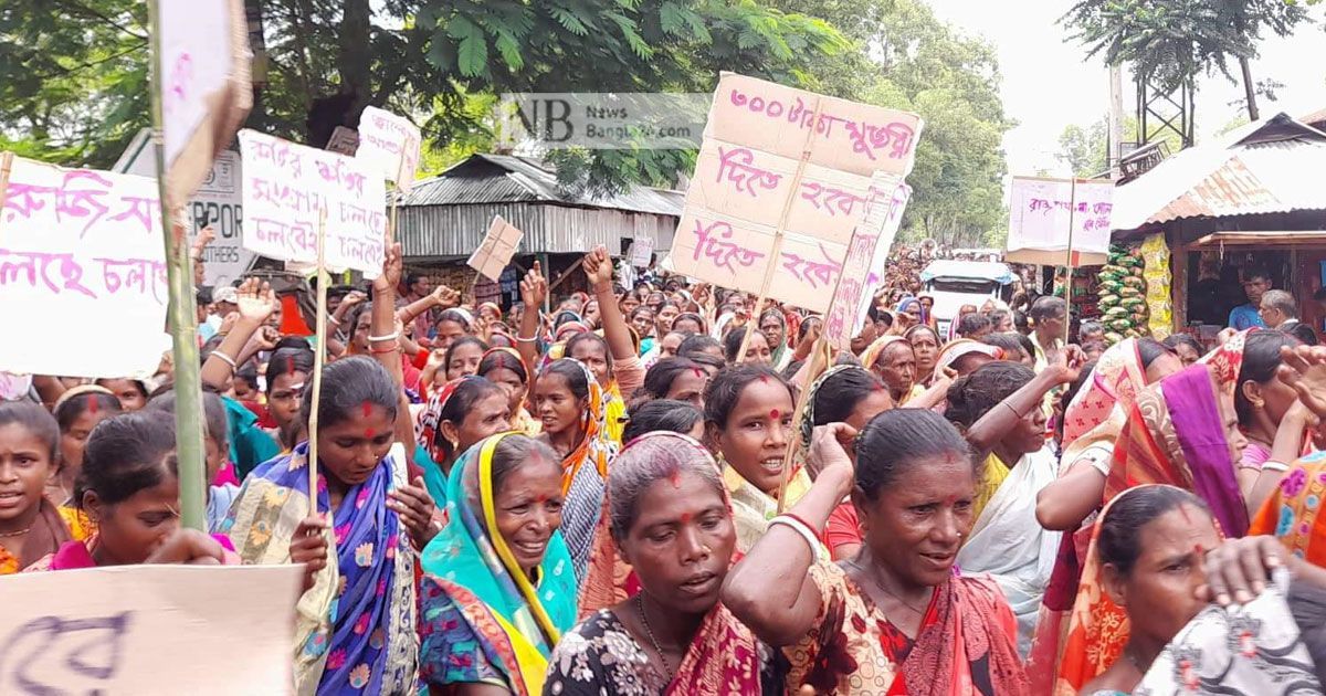 ৪০২ টাকা মজুরি নিয়ে চা-বাগান মালিকদের দাবি বাগাড়ম্বর