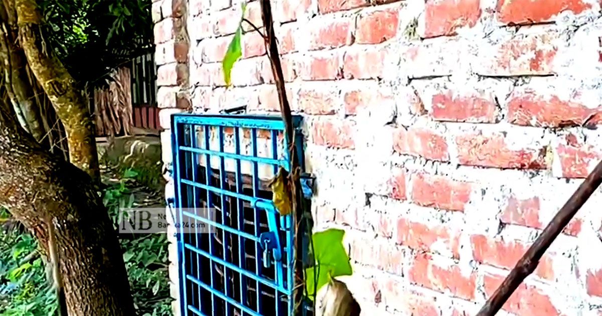 চার দেয়ালে এক যুগ, মুক্তি চান আল- আমিন
