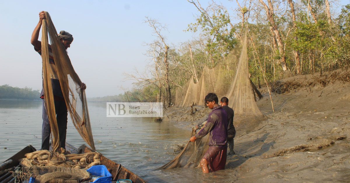 ৩ মাস পর খুলছে সুন্দরবনের প্রবেশদ্বার