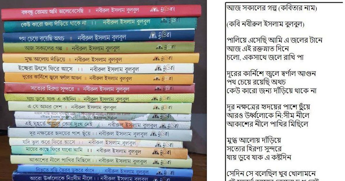 তালিকায় নবীরুলের বই রাখা ঠিক হয়নি: জনপ্রশাসন প্রতিমন্ত্রী