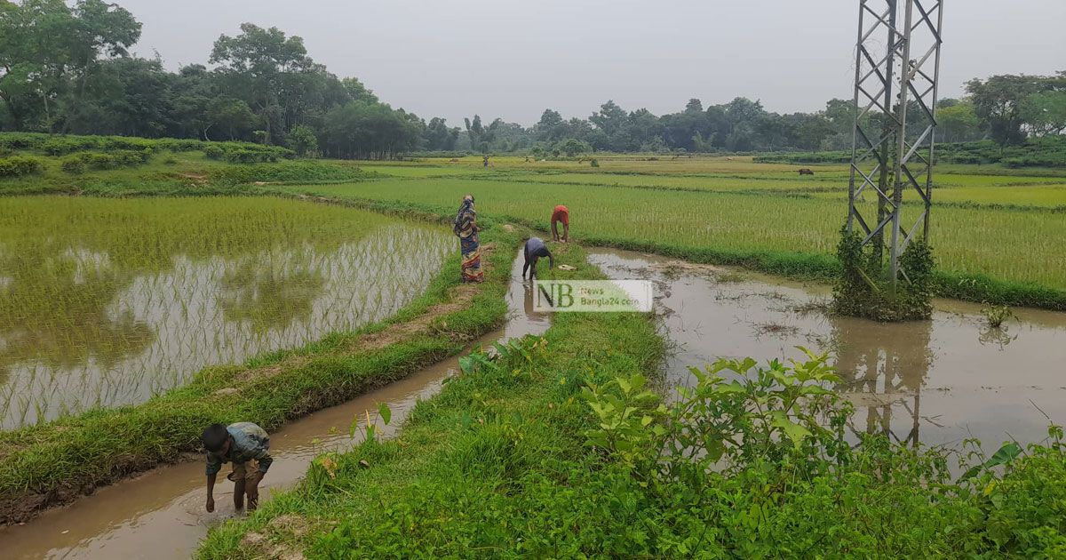 রেশনের নামেও চলে ফাঁকিবাজি