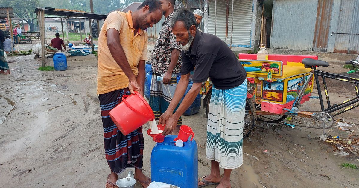 দুধের বাজার চড়া, খামারিরা দাম পাচ্ছেন না 