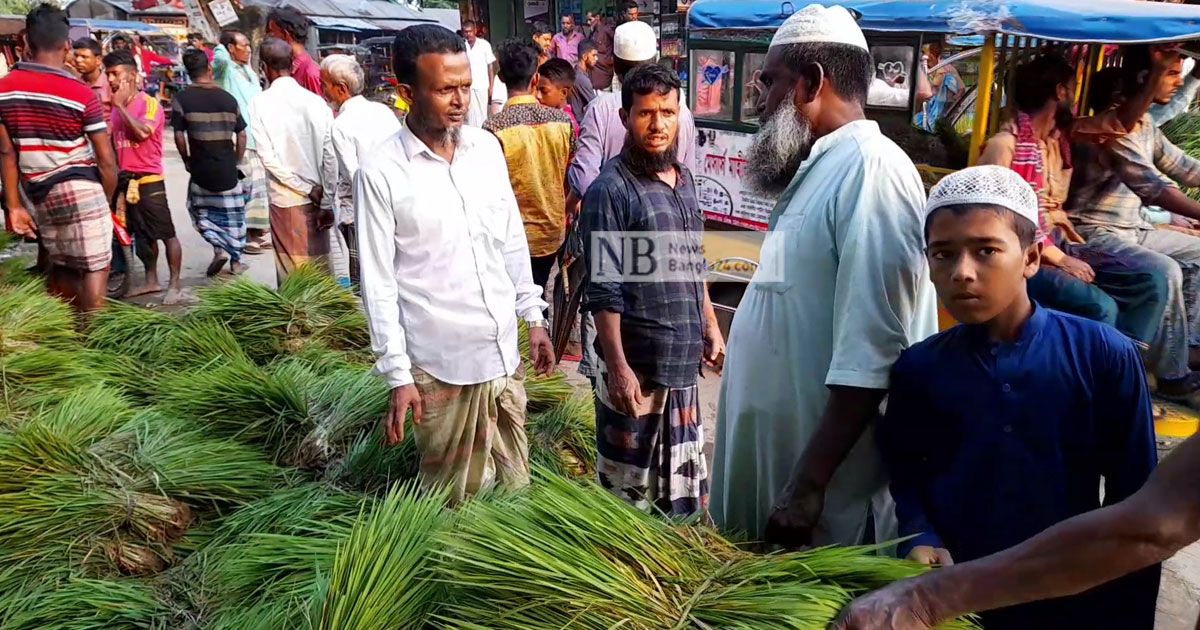 চারার হাটে দিনে বেচাকেনা ৩০ লাখ