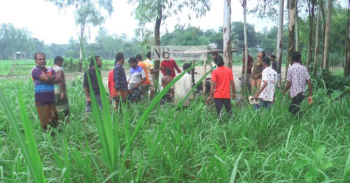 সেচের ঘরে বজ্রপাতে মৃত বেড়ে ১০