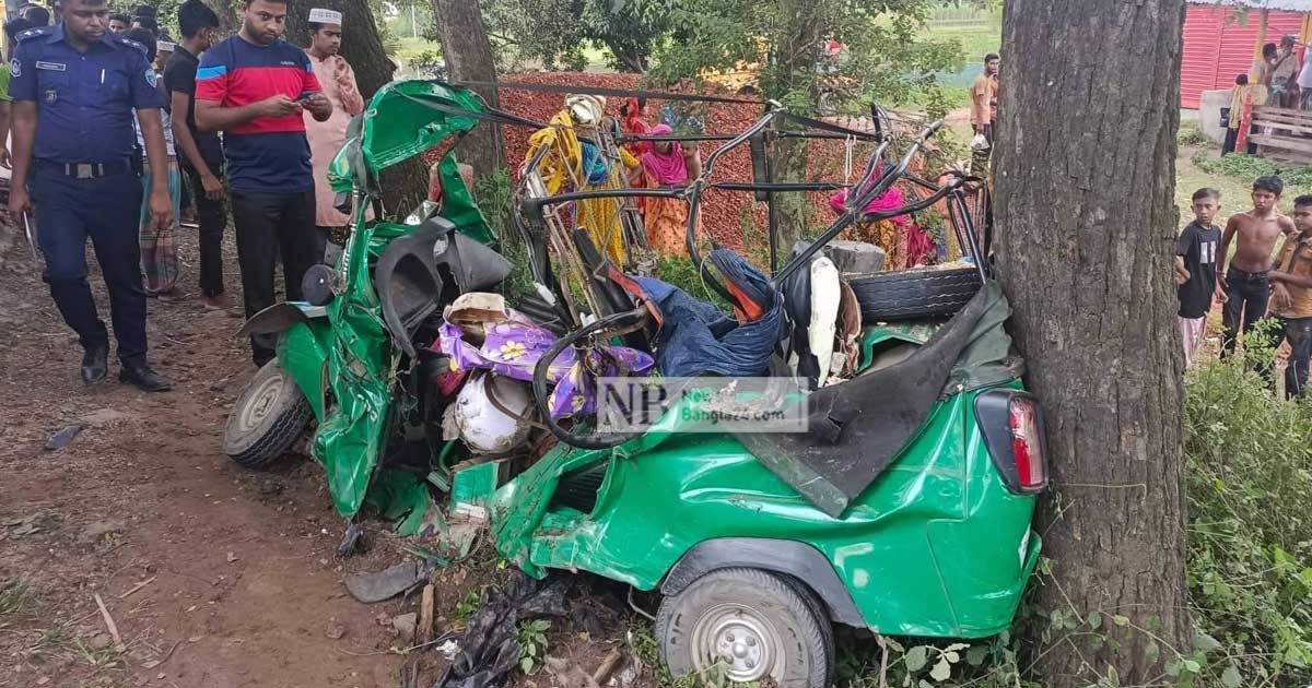 দাদি-নাতির প্রাণ গেল সড়কে