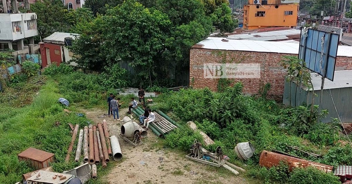 কিশোর গ্যাংয়ের দৌরাত্ম্যে অতিষ্ঠ ফেনী শহর