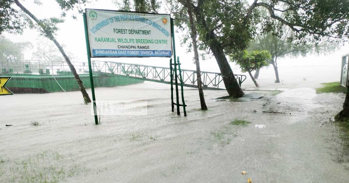 প্লাবিত সুন্দরবন, বন্যপ্রাণী রক্ষায় সতর্কতা জারি