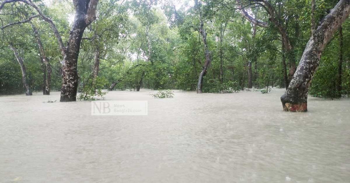 প্লাবিত-সুন্দরবন-বন্যপ্রাণী-রক্ষায়-সতর্কতা-জারি