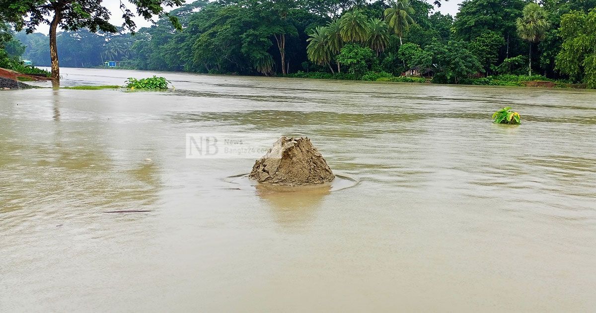 বিপৎসীমা ছাড়িয়ে প্লাবিত অন্তত ২৫ গ্রাম