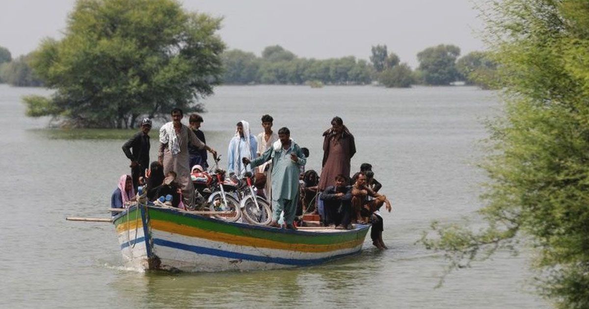 বন্যার পর পাকিস্তানে চোখ রাঙাচ্ছে ডেঙ্গু