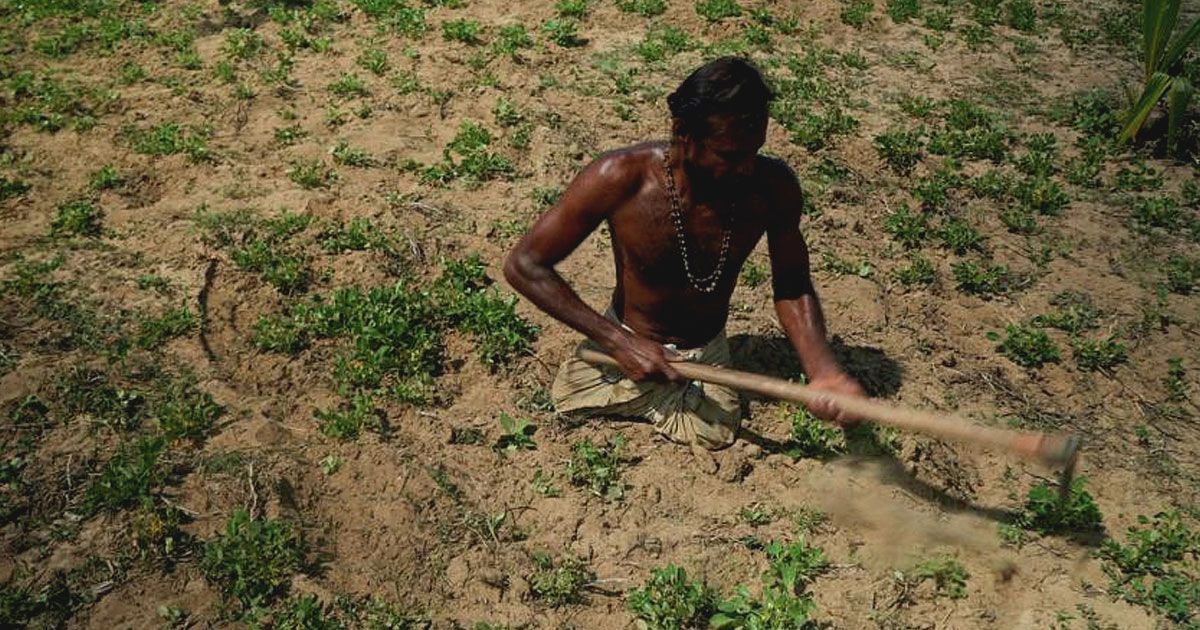 শ্রীলঙ্কা সংকটের ‘বড় বলি’ হচ্ছেন তামিলরা