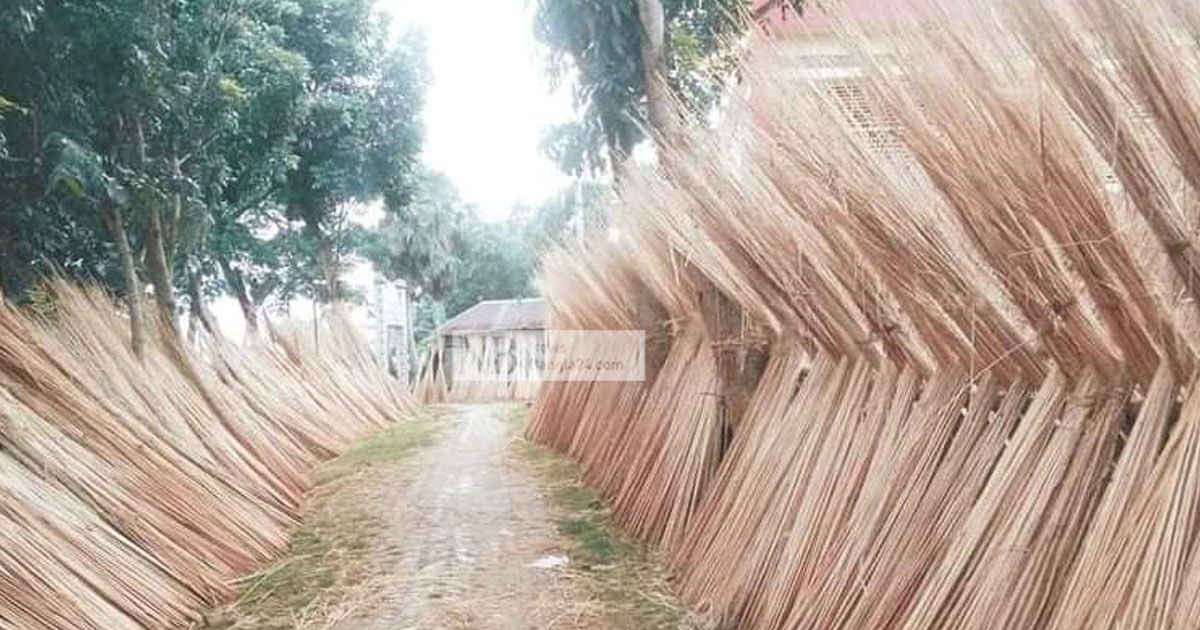 পাটে নয়, হাসি পাটকাঠিতে 