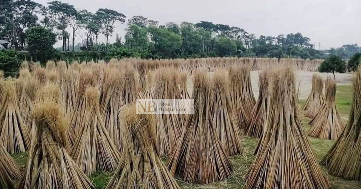 পাটে নয়, হাসি পাটকাঠিতে 