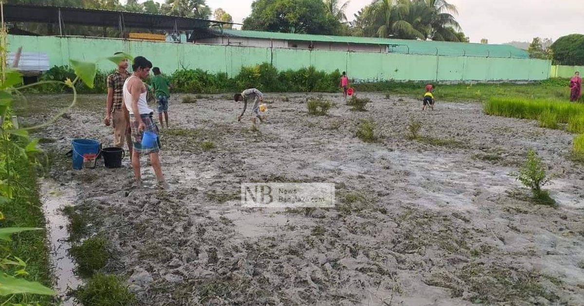 কারখানার-ডিজেল-কৃষিজমিতে-ক্ষতির-শঙ্কায়-কৃষক