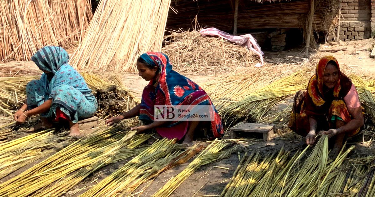 জমি বর্গা নিয়ে চাষ করছেন সেরিনা বেগম