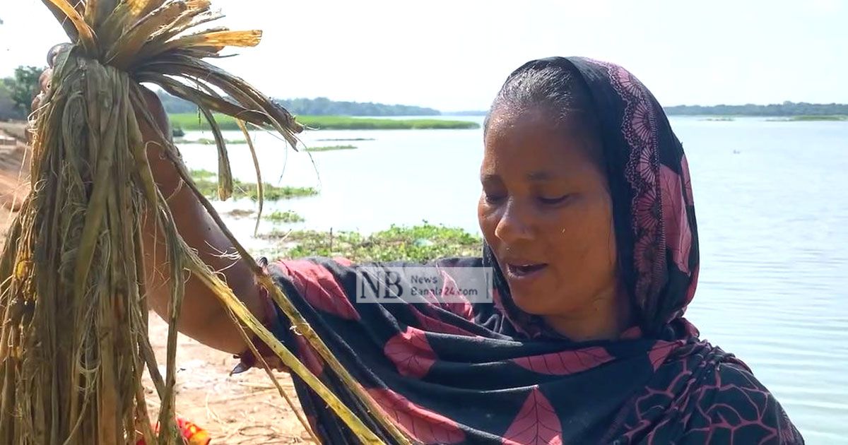 জমি বর্গা নিয়ে চাষ করছেন সেরিনা বেগম