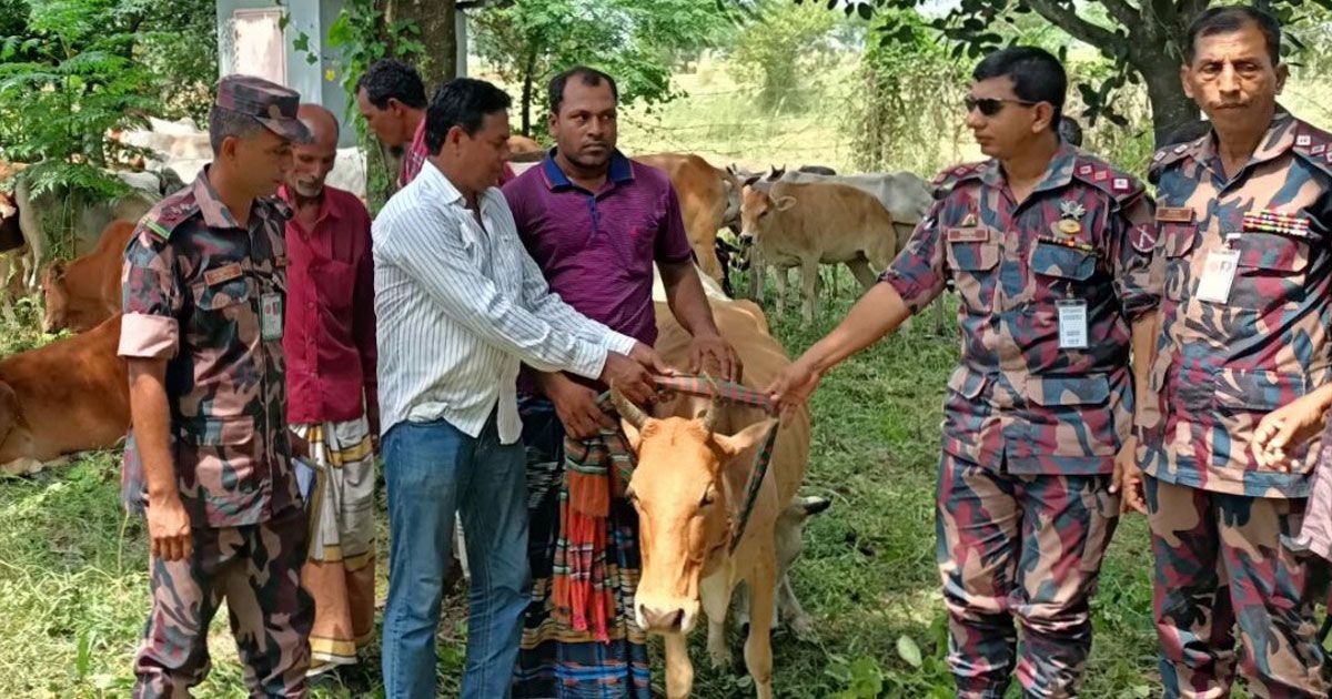 পতাকা-বৈঠকে-ফিরল-৫৮-গরু