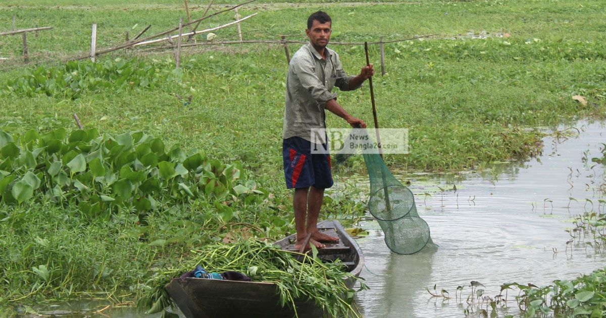 চায়না দুয়ারি জালের বিস্তারে হুমকিতে মাছের ভান্ডার