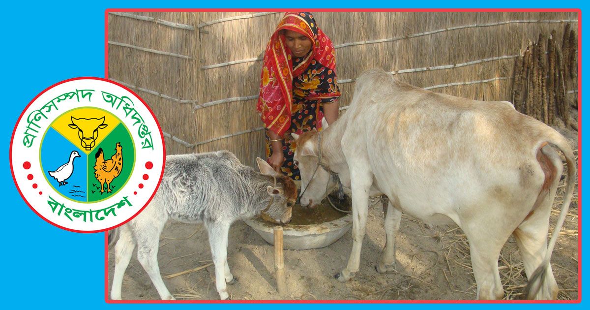প্রাণিসম্পদ অধিদপ্তরের দরকার ৫২ কর্মী