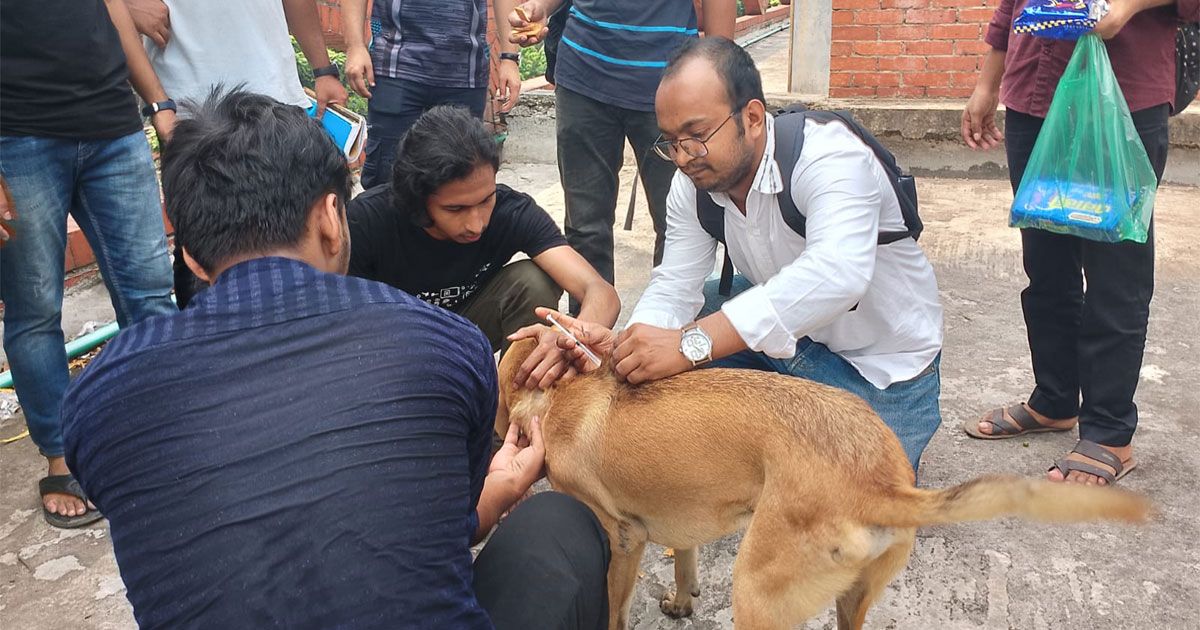 জলাতঙ্ক-বাড়ছে-শূন্যে-নামানোর-লক্ষ্য-পূরণে-সংশয়