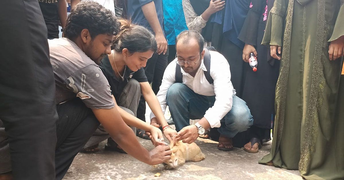 জলাতঙ্ক বাড়ছে, শূন্যে নামানোর লক্ষ্য পূরণে সংশয়