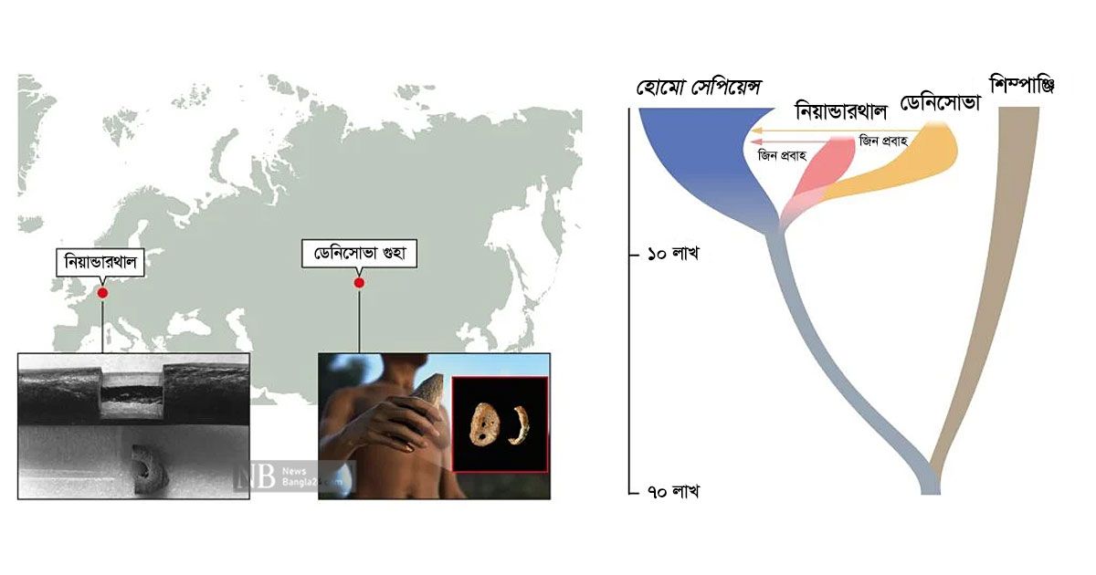 মানুষের আদি উৎসের সন্ধান দিলেন 
নোবেলজয়ী এসভান্তে পেবো