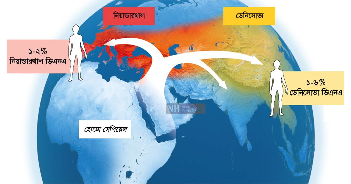 মানুষের আদি উৎসের সন্ধান দিলেন 
নোবেলজয়ী এসভান্তে পেবো