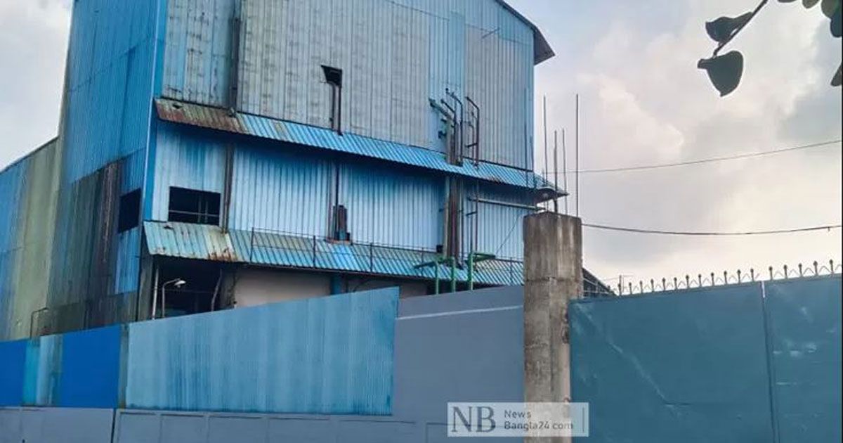 জাপানে রপ্তানিতে চোখ এমারেল্ডের