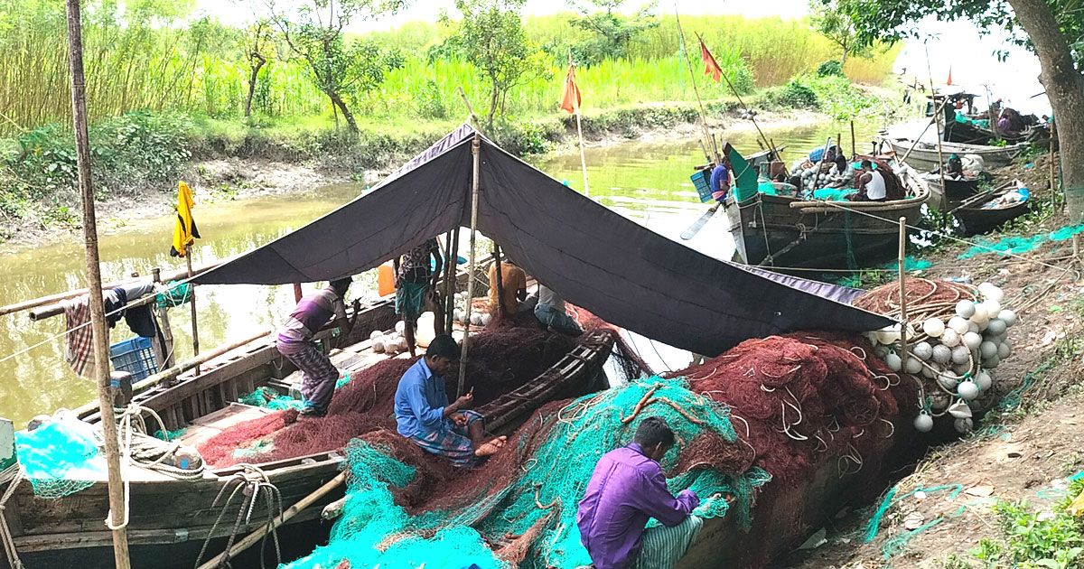 পদ্মা-মেঘনায় আজ থেকে ইলিশ ধরা বন্ধ