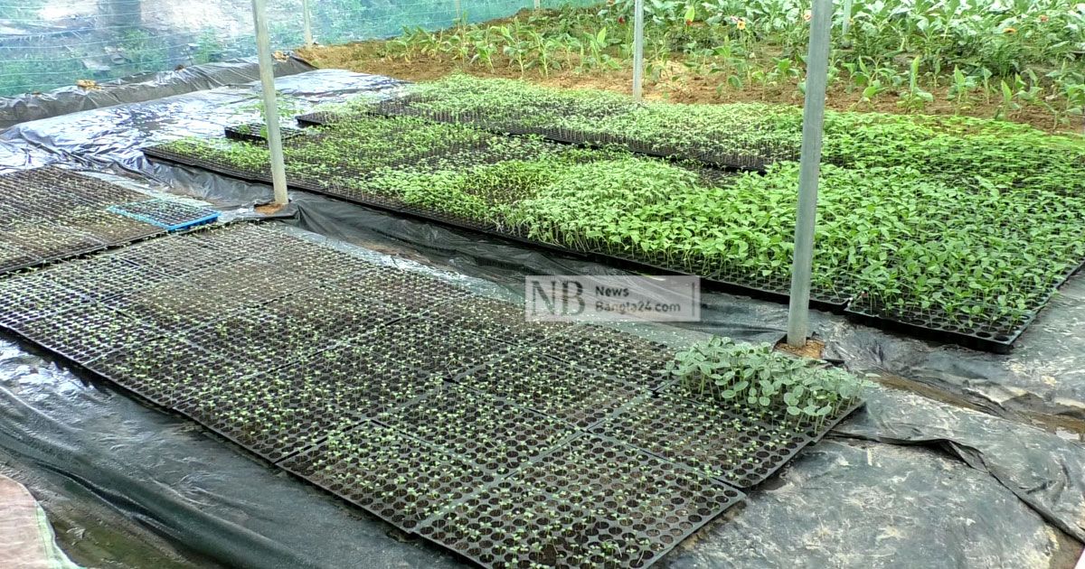 পলিনেটে সবজি-ফলমূলে লাভবান কৃষক