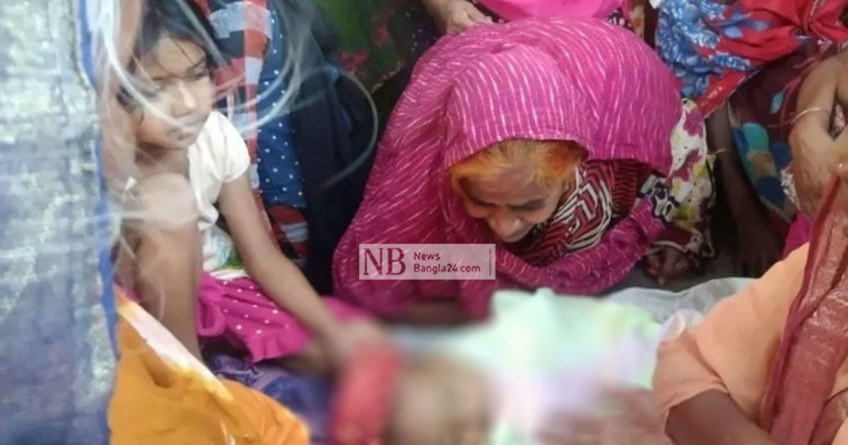 নানাবাড়িতে বেড়াতে গিয়ে বিদুৎস্পৃষ্টে প্রাণ গেল শিশুর