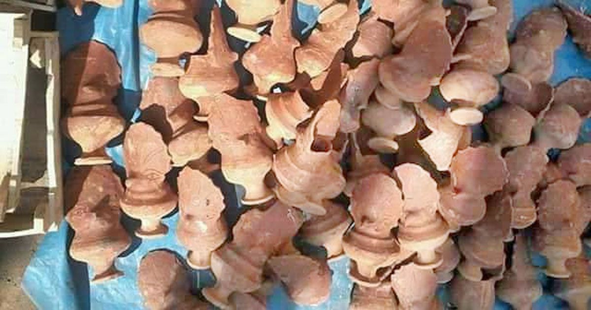 লক্ষ্মী পূজায় কারও প্রতিমা, কারও কেন ঘট-সরা