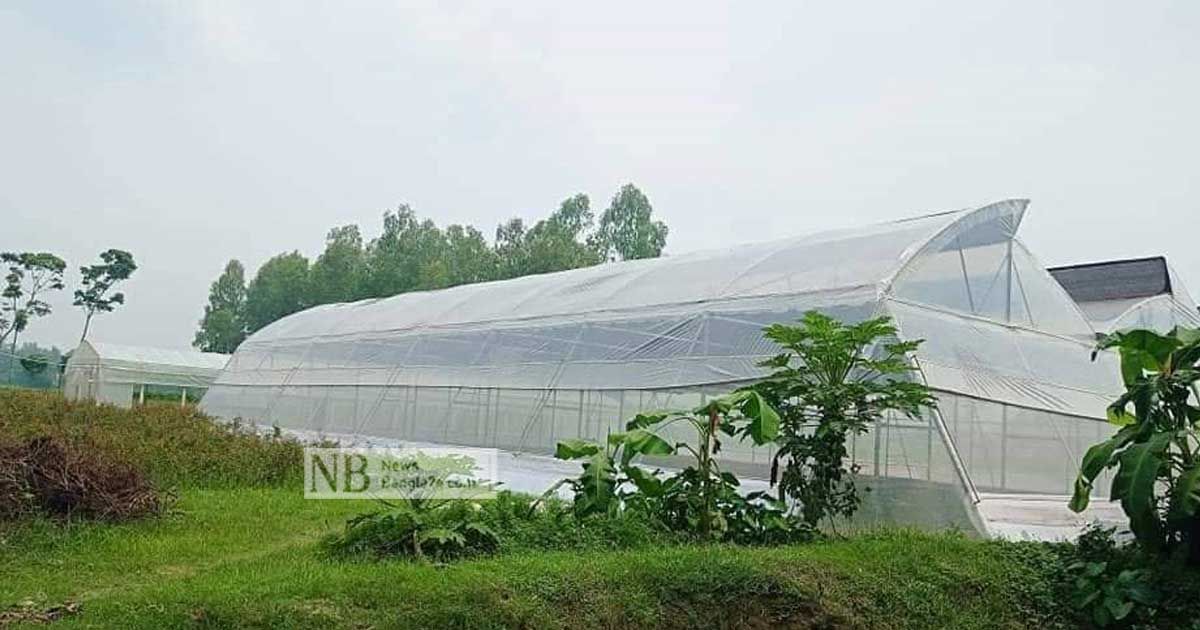 সবজিতে শীত-গ্রীষ্মের ব্যবধান মুছে দিচ্ছে পলিনেট হাউস
