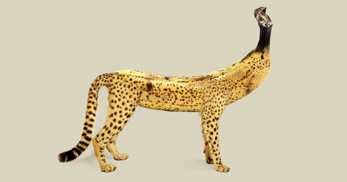 কলা দিয়ে বানানো প্রাণী