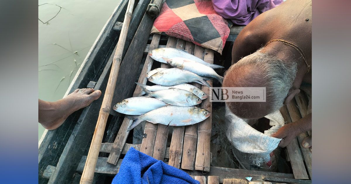 উৎকোচের-বিনিময়ে-মা-ইলিশ-ধরার-অভিযোগ